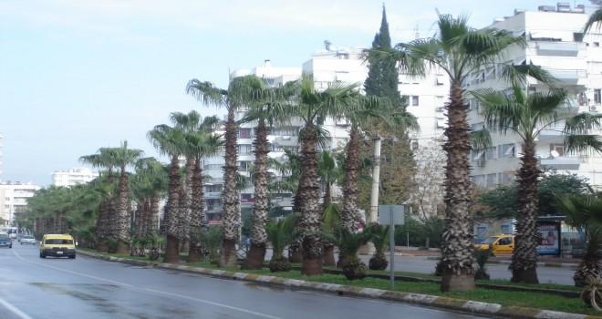 Antalya Çaybaşı Mahallesi Çilingir